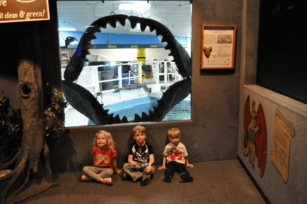 Three young children sitting under a giant shark jaw exhibit at Jenkinson's Aquarium