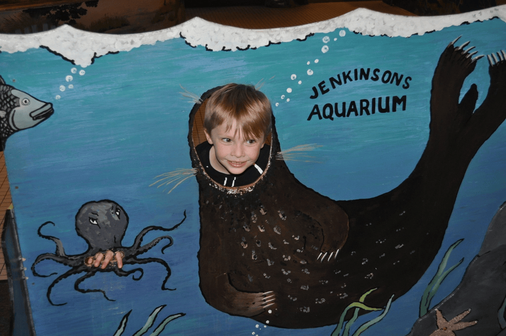 A young child posing in a painted seal photo board at Jenkinson's Aquarium