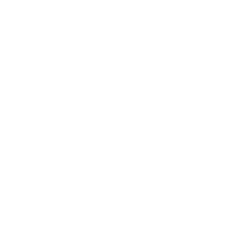 US Army