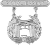 Pistol Expert Badge