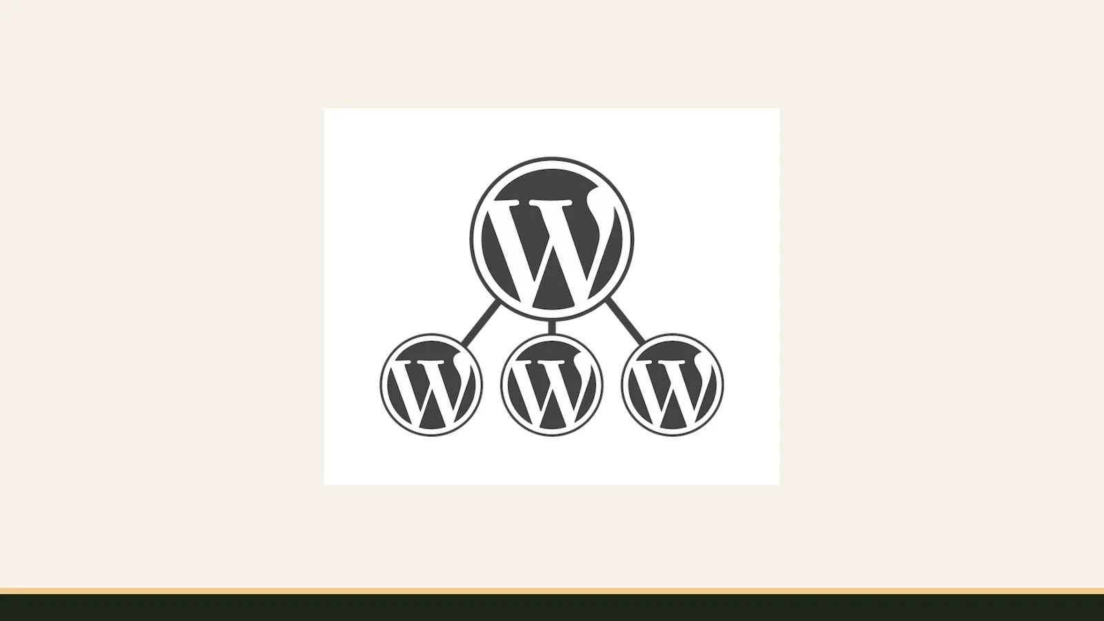 WordPress Multisite graphic on a cream background