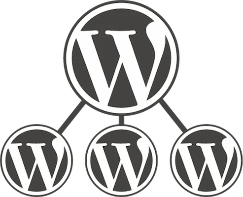 Diagram of one WordPress logo branching into three WordPress sites